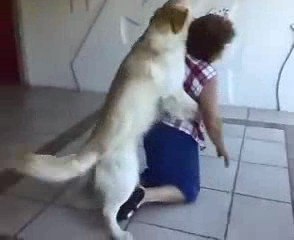 Kadına Saldıran Azgın Köpek