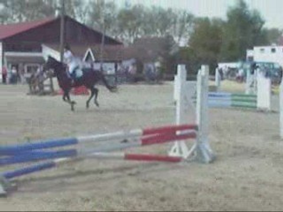 1er Mai, Les Débuts de Ro