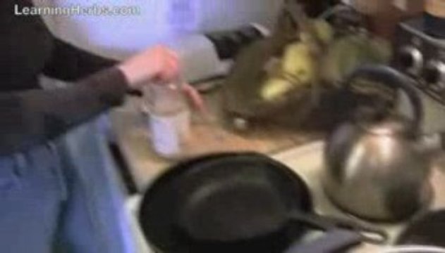 How to Make Soda: Ginger Beer Recipe Part 1