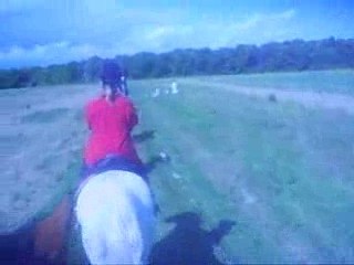 Caméra embarquer sur Gythou au galop dans un champ.