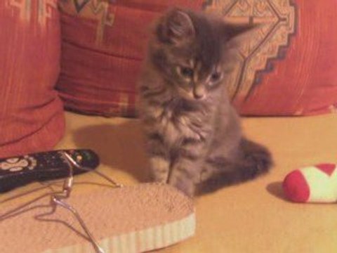 Missy captivée par mes clins d'oeil - trop mignon