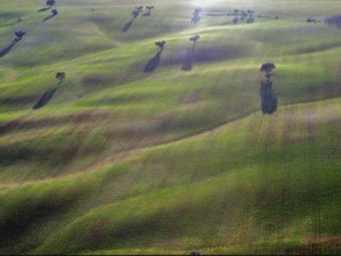 Algunos paisajes(alta)