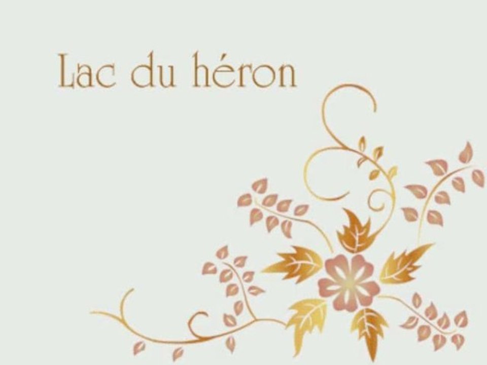 Lac du héron à Villeneuve d'Ascq (59)