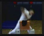 PAK MEI KUNG FU