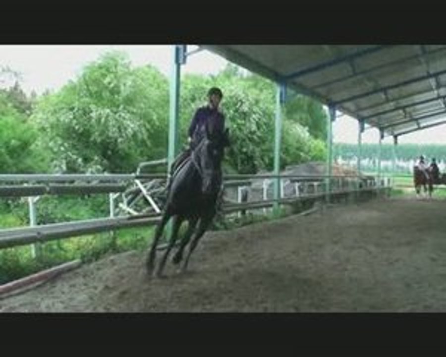 Galop Crevette