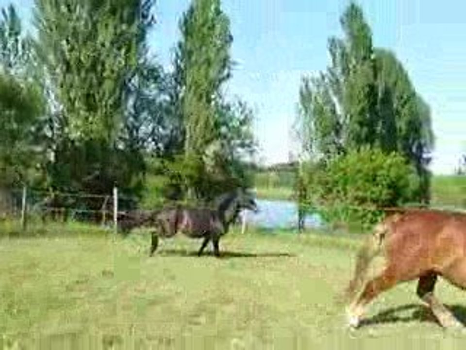 Quiator pré mai 2009