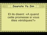 Sourate Ya sin. MoUhAmMaD Al LoUhAyDaN