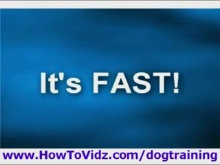 Puppy training tips biting