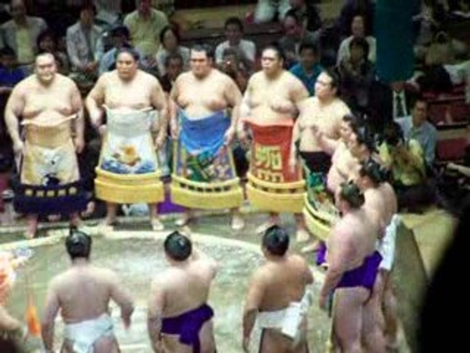 Sumo (2)