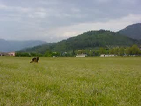 2009.05.08 levens 025