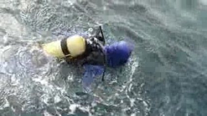 Plongeurs en surface