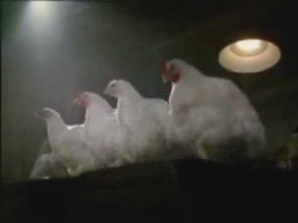 Techno Poule