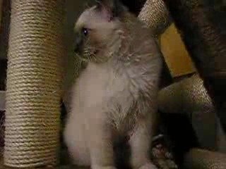 Enez du Lac de Sévigné 2