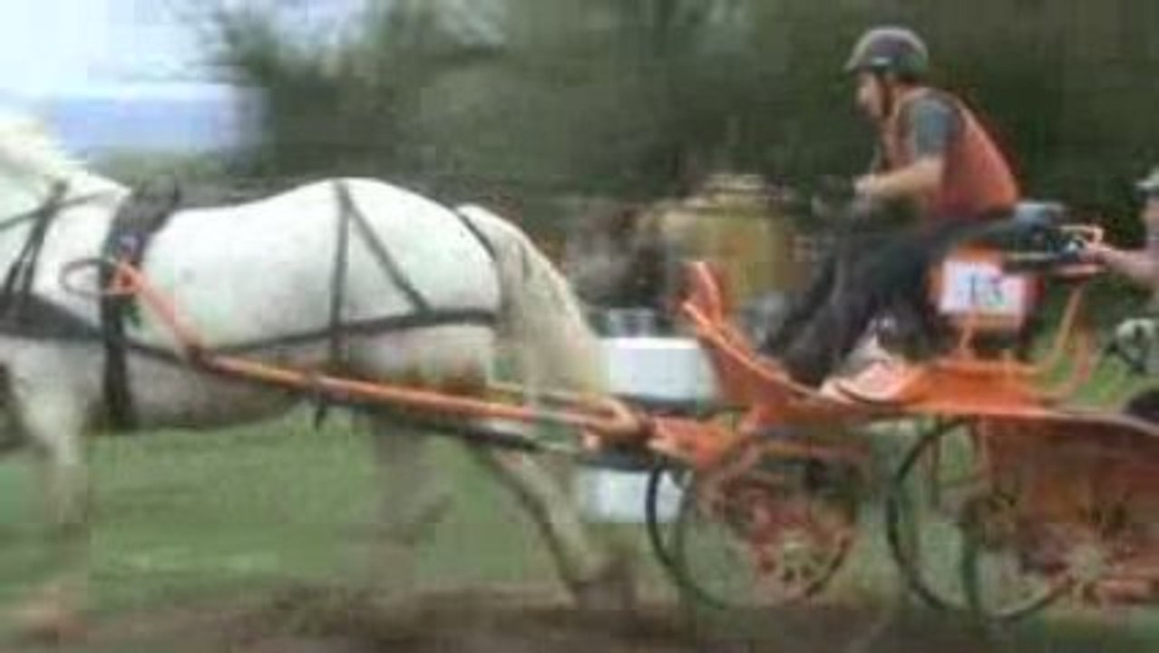 Suite concour d'attelage 3 mai 2009