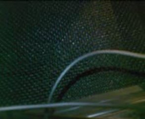 Californication basse