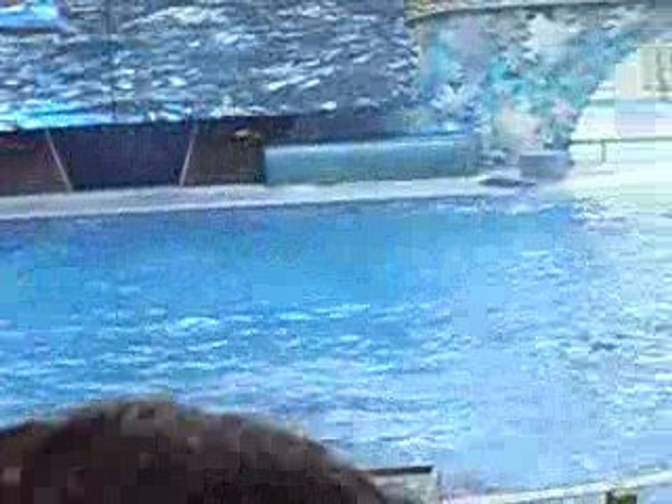 seaworld