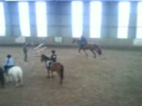 moi & gold qui saute