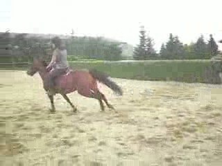 Pauline & Noblesse sur le Mur !