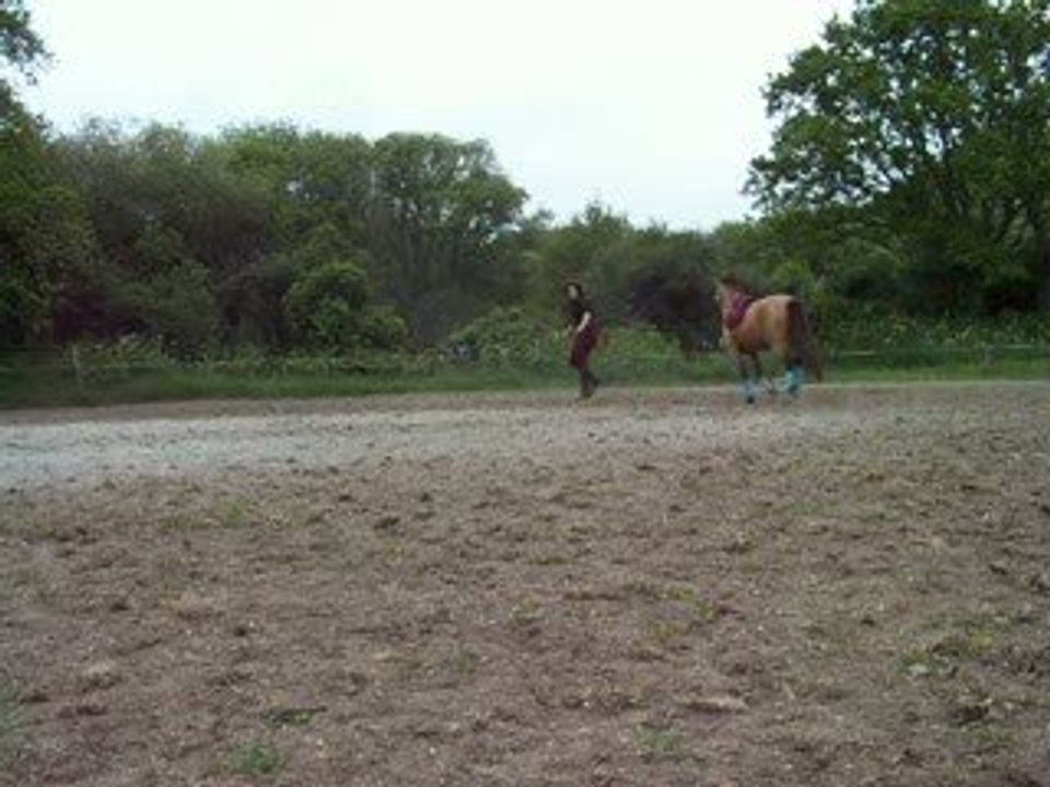 Changement de pied au galop