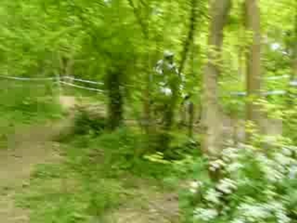 DH4