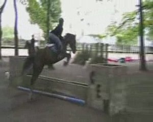 Les ponettes pneux jardinière