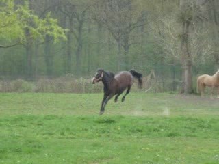 Razièle fait la folle