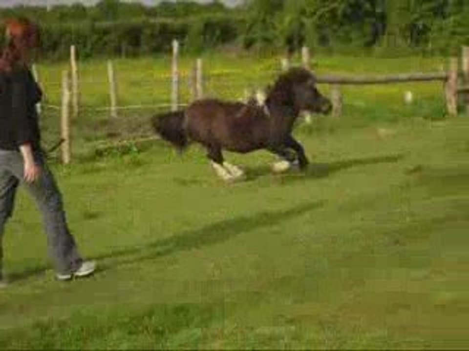 Zazette chez Noisette