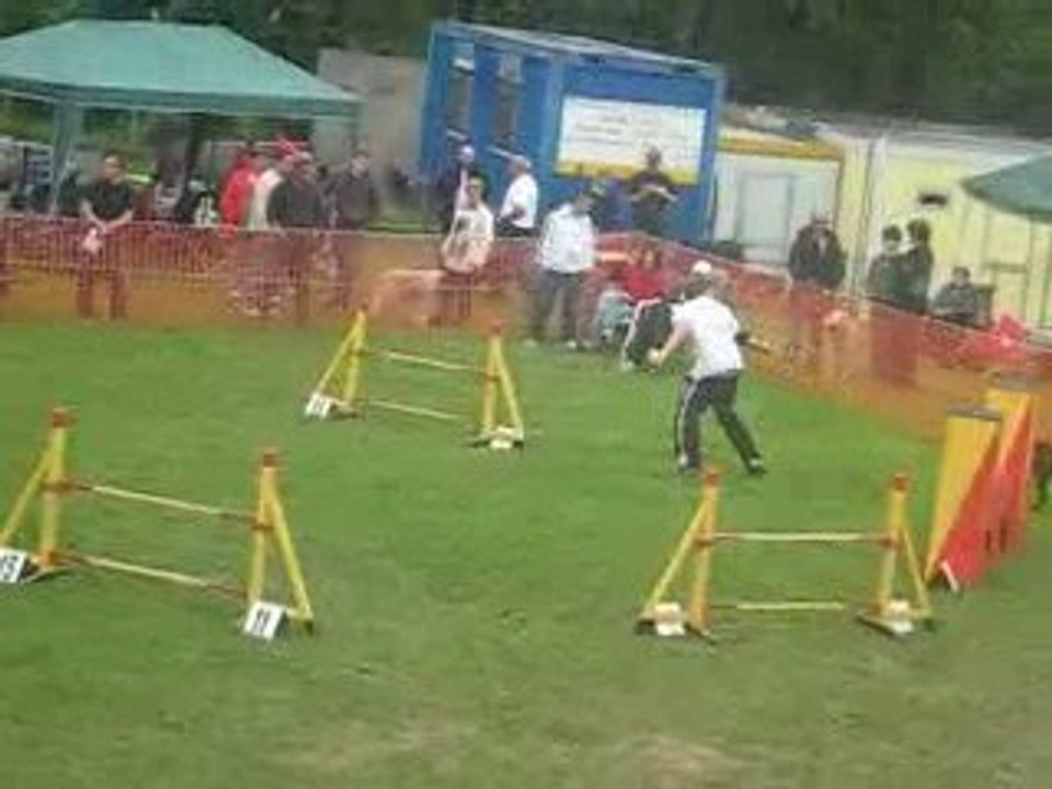 MVI_1208
