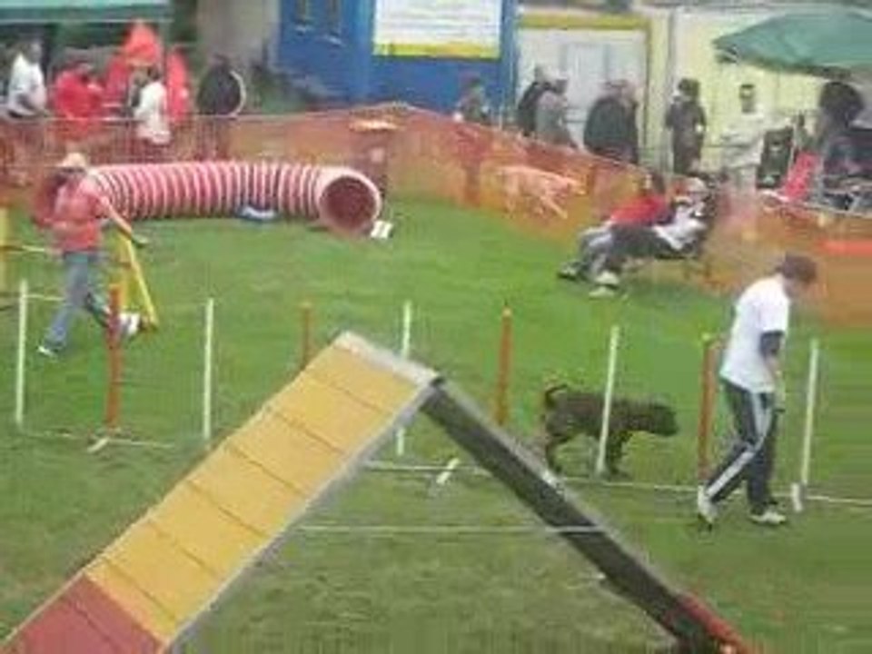MVI_1204