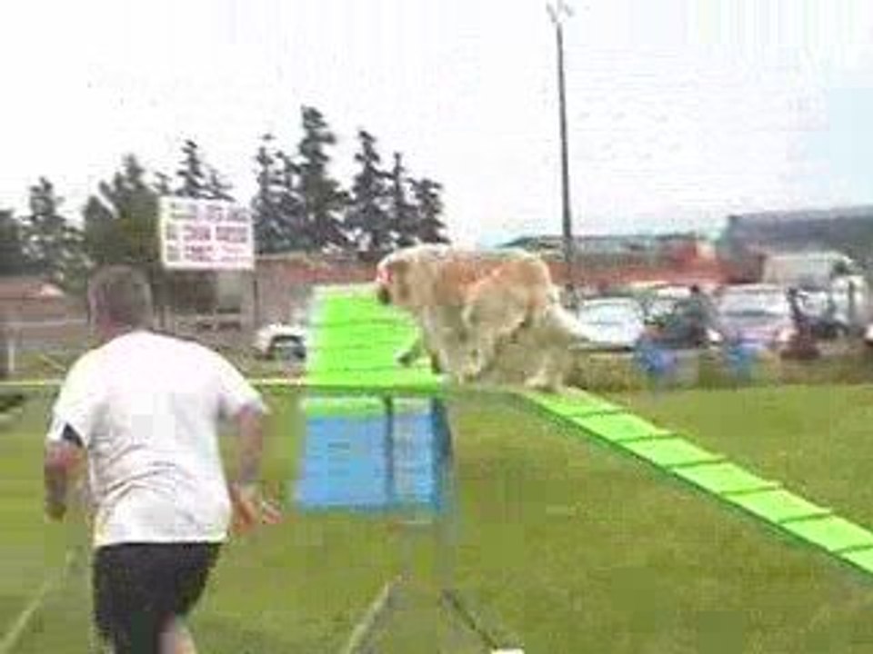 Salsa GPF Agility Montrond 10/05/2009