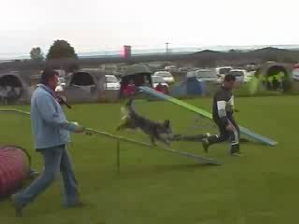 Blueberry Degré Agility Montrond 10/05/2009