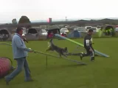 Blueberry Degré Agility Montrond 10/05/2009