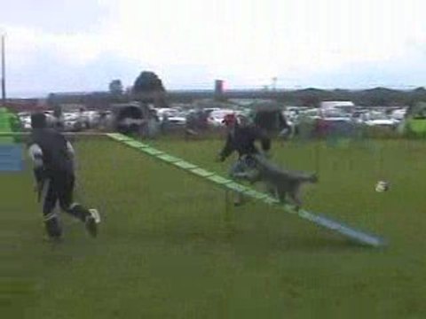 Blueberry GPF Agility Montrond 10/05/2009