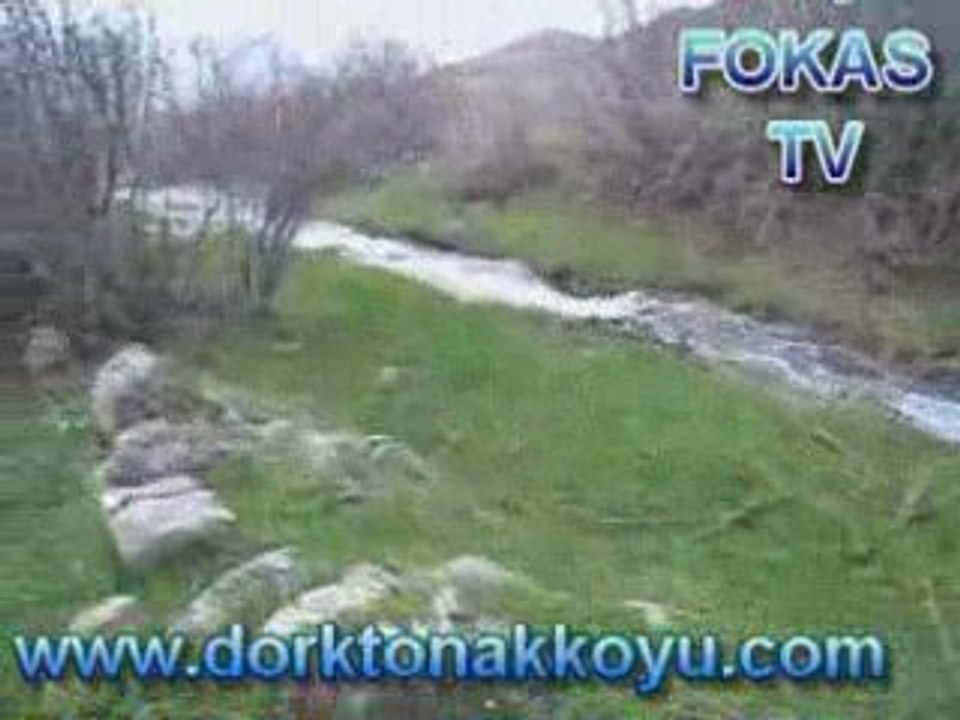 DÖRTKONAK KÖYÜ FOKAS MEVKİİ
