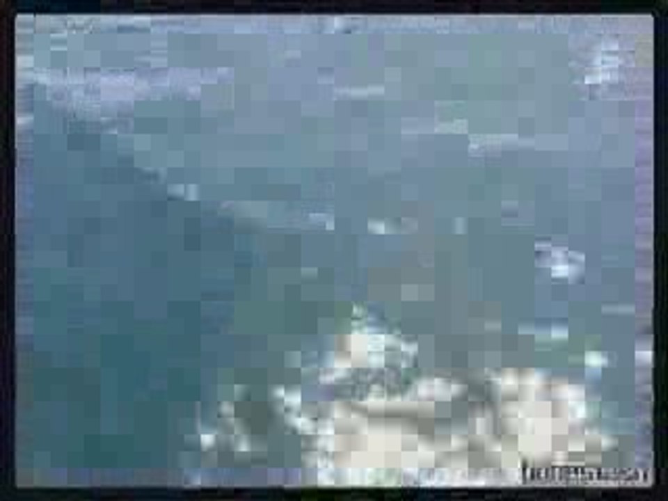 La French connexion (2)