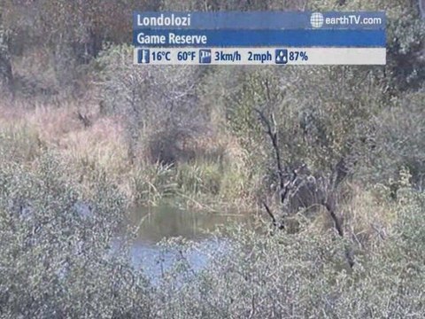 Budapest - Hungary, Seattle - USA, Dresden - Germany, Jakarta - Indonesia, Londolozi - South Africa, Avignon - France, Brussels - Belgium