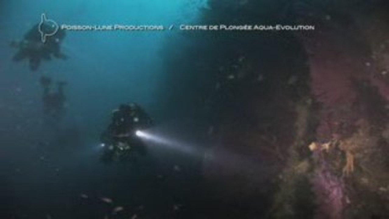 PLONGEE TEK: roche Cameleon au trimix - Cannes