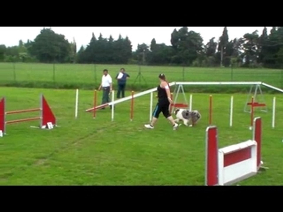SGPF 2009 BAXTER Agility