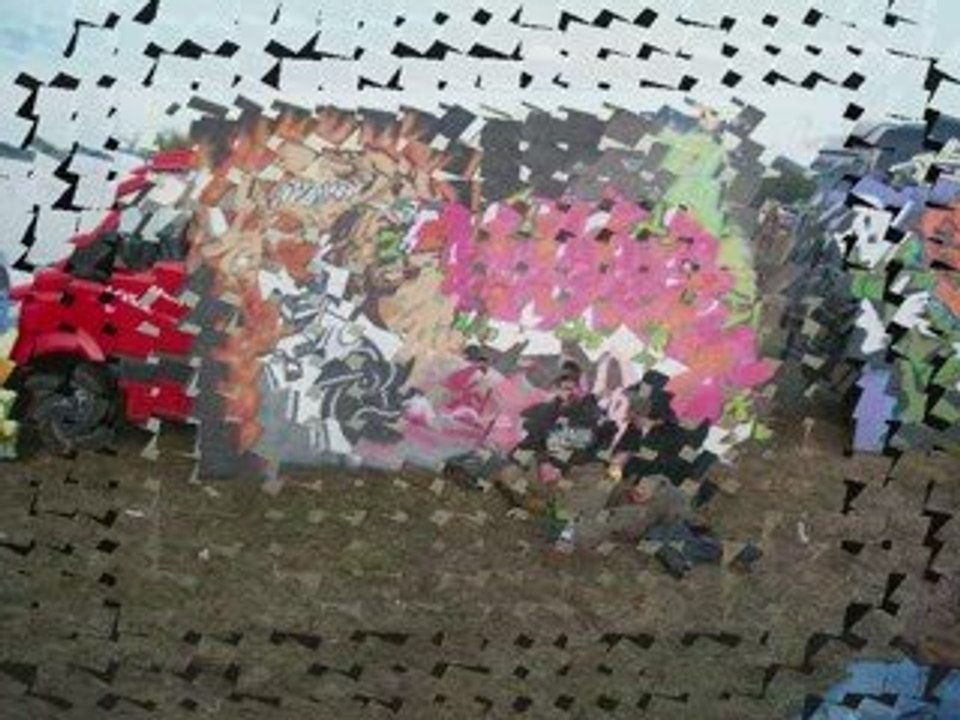 Reportage Technival 2009 à Courcelle par Nikolai