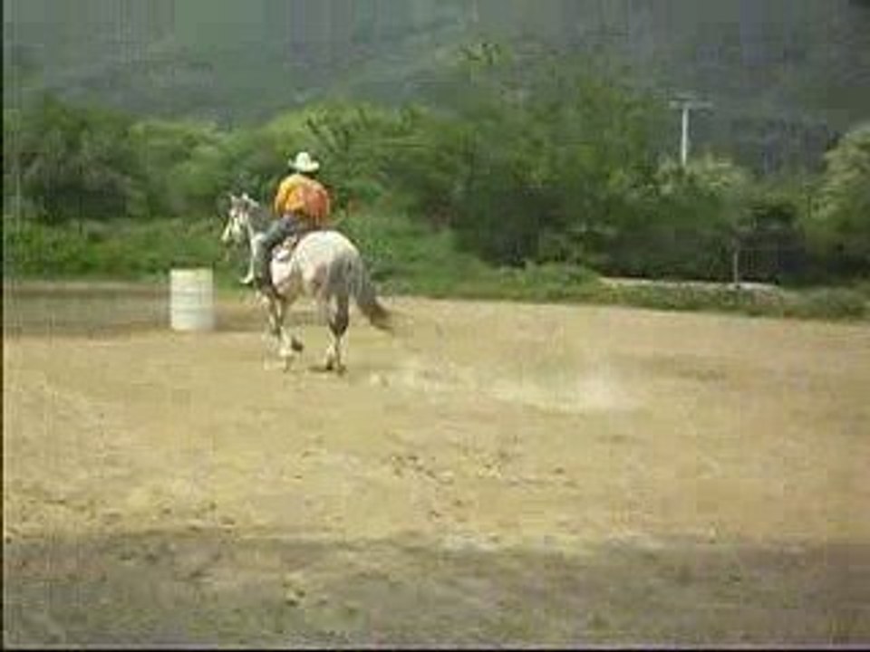 Photo 083