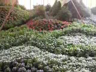 Nantes : Floralies 2009