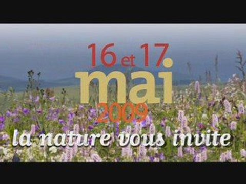 Ritournelles et coccinelles