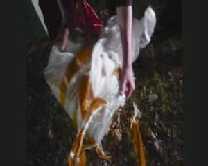 BUON COMPLEANNO (parte 1)