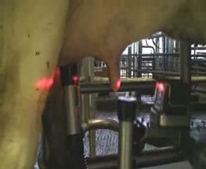 Robot de traite VMS DeLaval