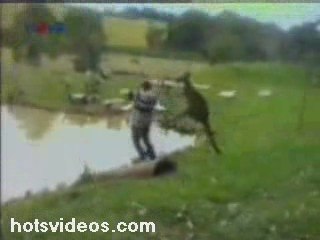 Kicked into a Lake by a Kangaroo