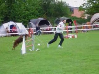 Brisca au concours d'agility à Messei