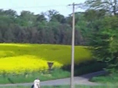 galop dans un champs!