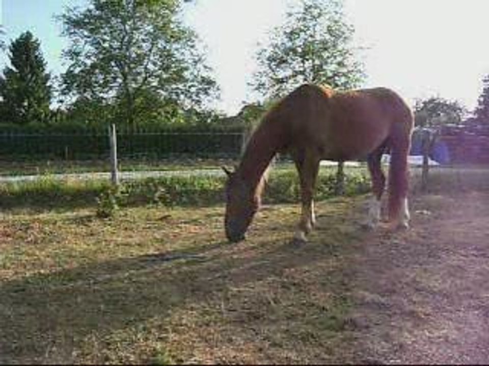 Bijou progresse doucement