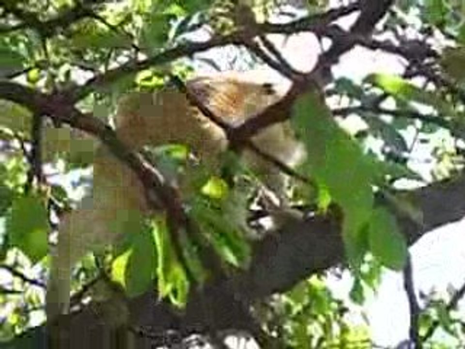 Kenza 7- 05 2009 018