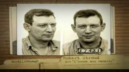 Thanks to Polobylimsa for the Docs 🙏